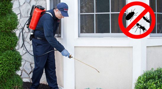 Pendik Akrep İlaçlama böcek ilaçlama ve haşere kontrolü — ilaclama-tr.com